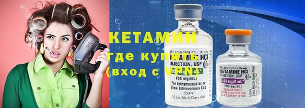 амф Новодвинск