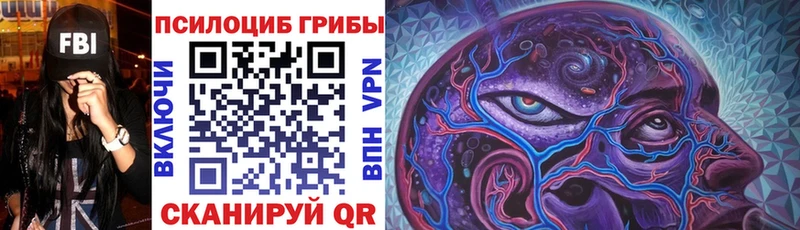 где продают   Удачный  Псилоцибиновые грибы MAGIC MUSHROOMS 